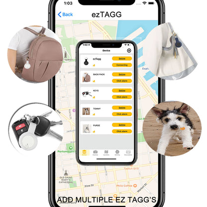 EZ Tagg Anti Lost Pod With Key FOB